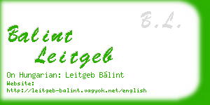 balint leitgeb business card